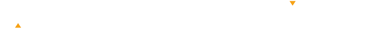 2018 V Logo White comp